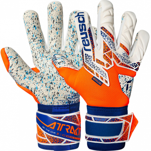 Reusch Attrakt Fusion Energize